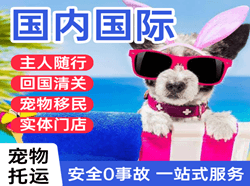 克拉玛依古海航空快运国际宠物托运 【国